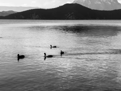 SlotoCash Casino Aplicación móvil